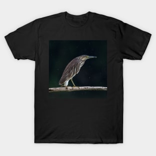 Green-Backed Heron T-Shirt